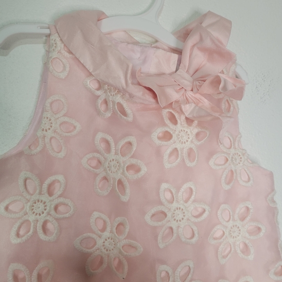 Janie and jack special occasion pink silk dress with white embroidery - Picture 2 of 5